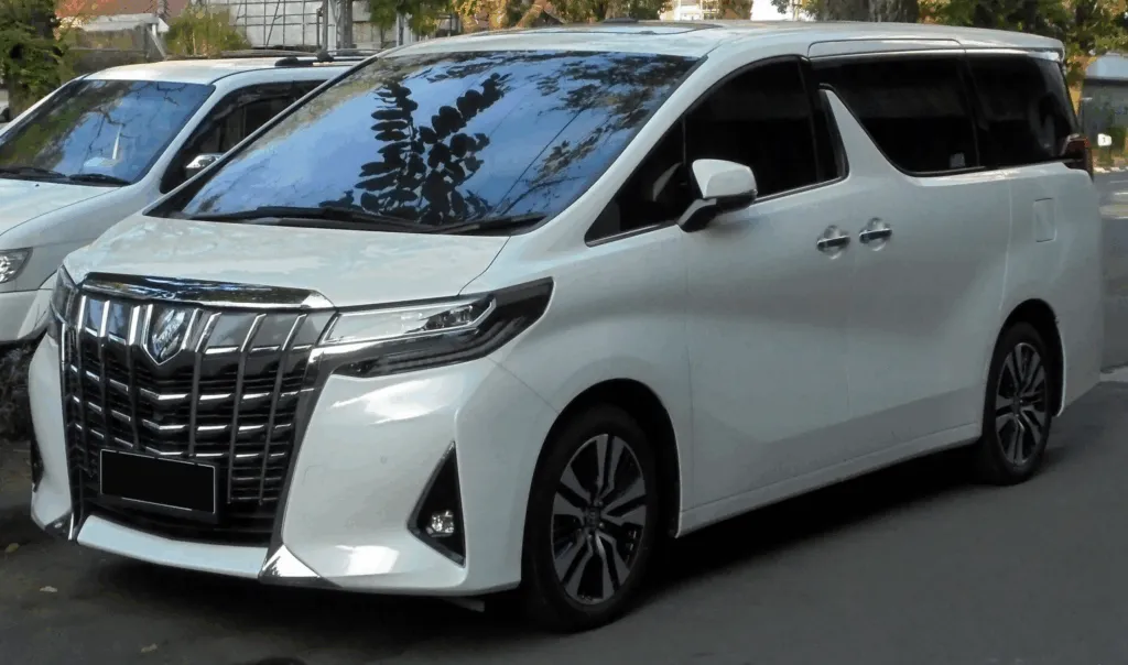 Pengalaman Terbaik di Pulau Tropis