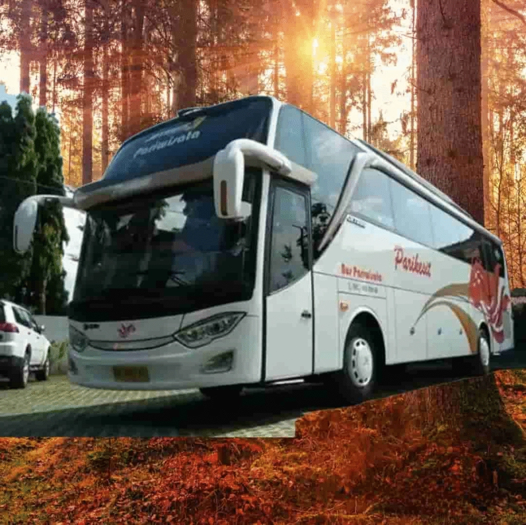 Sewa Bus Pariwisata 50 Seat, sewa bus besar, harga sewa bus pariwisata, rental bus pariwisata, sewa bus untuk rombongan