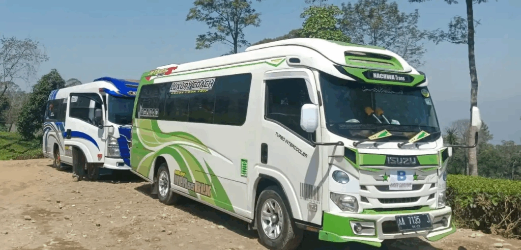 Mengapa Sewa Isuzu Elf di Alesatour?